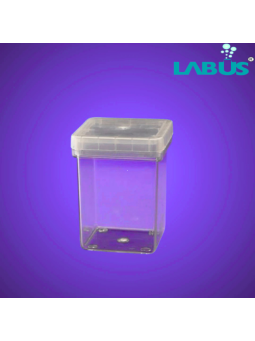 PL MAGENTA BOX